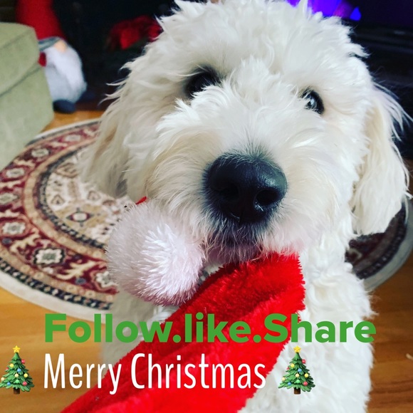 Thank You All! 500K followers ๐๐ปLike|Follow|Share FG #4 - Picture 12 of 16